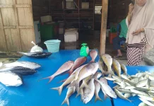 Harga ikan segar Melambung Tinggi di Meulaboh Aceh
