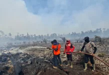 Kebakaran Lahan Hanguskan 17 Hektare di Nagan Raya
