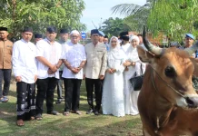 Polda Aceh Serahkan 46 Ekor Hewan Kurban untuk Masyarakat pada Idul Adha