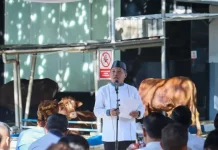 BMKG Salurkan Hewan Kurban untuk Seribu Penerima Manfaat