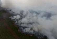 Dua Hari Karhutla di Aceh Barat Hanguskan 13 Hektare Lahan