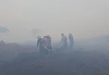 Karhutla Aceh Barat Capai 23,6 Hektar, BNPB Kerahkan Waterbombing