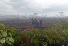BPBA Catat Bencana Mei 2026 di Aceh Didominasi Kebakaran dan Karhutla