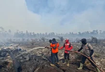 BPBA Catat Karhutla di Nagan Raya Telah Mencapai 90 Hektar