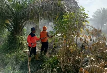Karhutla di Nagan Raya, Sekitar 90 Hektare Lahan Terbakar
