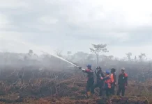 Update Karhutla di Aceh Barat Capai 24,1 Hektar, Kondisi Hari ini