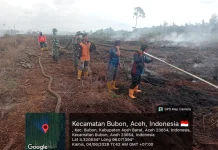 Karhutla Aceh Barat Hanguskan 24 Hektare Lahan Warga