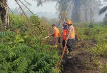 Karhutla di Bubon Aceh Barat Mulai Terkendali, Tim Gabungan Fokus Pendinginan