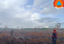 Karhutla di Bubon Kian Kondusif, BPBD Aceh Barat Tetap Lakukan Pemantauan