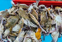 Cara Memasak Kepiting agar Nutrisinya Tidak Rusak