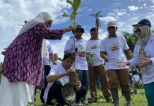 LPPM UTU Tanam Pohon Serentak Perkuat Ekosistem Pesisir Aceh Barat