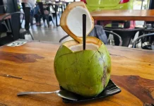 Minum Kelapa Muda Pilihan Tepat saat Cuaca Panas