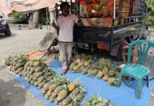 Harga Nanas Naik Tipis, Pembeli Tetap Setia
