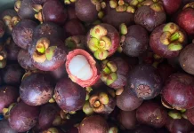 Buah Penyegar dan Pelindung Tubuh di tengah Cuaca Panas Ekstrem