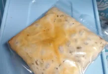 Amankah Makan Tempe yang Sudah Lama? Ini Ciri-Ciri yang Harus Diketahui