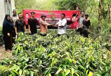 Jamaluddin Idham Bagikan 7.500 bibit, Genjot Ekonomi Hijau Petani Aceh