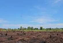 Setelah Karhutla, Sejumlah Gampong di Pante Ceureumen Terdampak Banjir