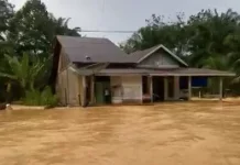 Hujan Intensitas Tinggi di Aceh Barat, Kalak BPBD Imbau Waspadai Potensi Banjir