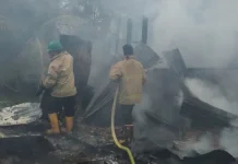 Tempat Pemeliharaan Ternak di Aceh Besar Terbakar