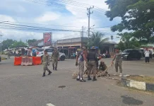 Puluhan Ternak Berkeliaran Diamankan, Pemilik Diminta Patuhi Qanun