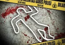 Mahasiswi UTU Meninggal Dunia dalam Kecelakaan Tunggal di Meureubo