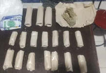 Polres Aceh Barat Ungkap Dua Kasus Narkoba, Sita Sabu dan Ganja