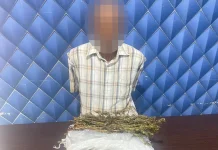 Polres Aceh Barat Sita 1,5 Kilogram Ganja dan Amankan Seorang Tersangka