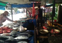 Kendati Cuaca Buruk Harga Ikan  Relatif  Stabil di Meulaboh