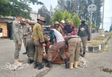 Tim Terpadu Aceh Jaya Amankan 30 Ternak Liar Warga