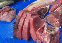 Ikan Tuna untuk Mendukung Pertumbuhan Anak Balita