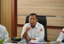 Batu Giok Nagan Raya Resmi Miliki Hak Paten