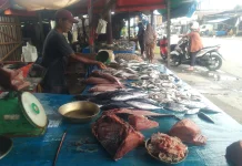 Harga Ikan Segar di Meulaboh Stabil pada Akhir Juni 2026