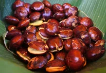 Aroma Menyengat Khasiat Menggoda Berikut Manfaat Jengkol untuk Pria dan Wanita
