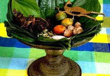 Manfaat Makan Sirih Bagi Orang Dewasa