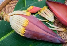 Manfaat Jantung Pisang untuk Menunjang Kesehatan Pria dan Wanita