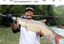 Manfaat Ikan Kerling untuk Mendukung Tumbuh Kembang Anak