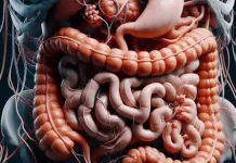Pentingnya Menjaga Kesehatan Usus untuk Mendukung Imunitas Tubuh