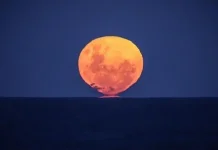 Fenomena Strawberry Moon Hiasi Langit Malam