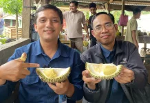 Tips Menikmati Durian Tetap Nikmat tanpa Takut Kolesterol
