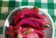 Manfaat Kulit Buah Naga yang Jarang Diketahui