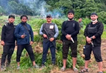 Kodam IM Berhasil Ungkap Lahan Ganja 50 Hektare di Pegunungan Nagan Raya