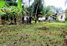 UTU Kembangkan Model Sosio-Tekno Smart Farming Antisipasi Krisis Pangan Aceh Bara