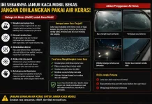 Jamur Kaca Mobil Jangan Dihilangkan Pakai Air Keras