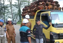 Bupati Aceh Barat Sidak Pabrik Sawit Pastikan Harga TBS Sesuai Ketetapan