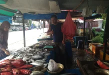 Harga Ikan Segar di Pasar Meulaboh Sempat Naik Akibat Nelayan Tak Melaut