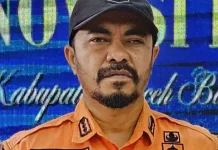 Gajah Liar Seruduk Satu Warga Desa Alue Meuganda