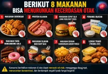 Berikut  8 Makanan Bisa Menurunkan Kecerdasan Otak