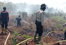 BPBD Aceh Barat Klaim Penanganan Karhutla Capai hingga 70 Persen