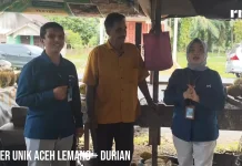 Lemang dan Durian Panga Jadi Buruan Wisatawan saat Musim Durian