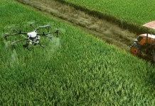 Drone dan AI Ubah Wajah Pertanian Menjadi Lebih Efisien